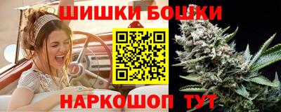 индика Бийск