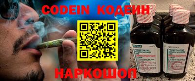 индика Бийск