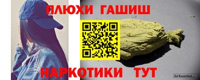 индика Бийск