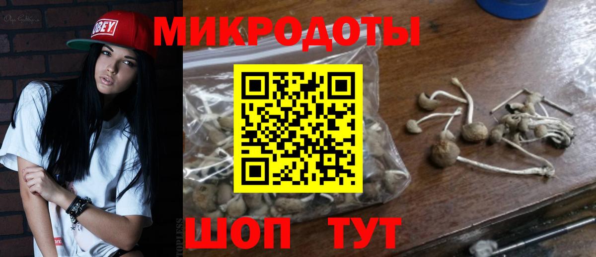 Псилоцибиновые грибы прущие грибы  Галлюциногенные грибы GOLDEN TEACHER  Керчь  Вход с VPN 