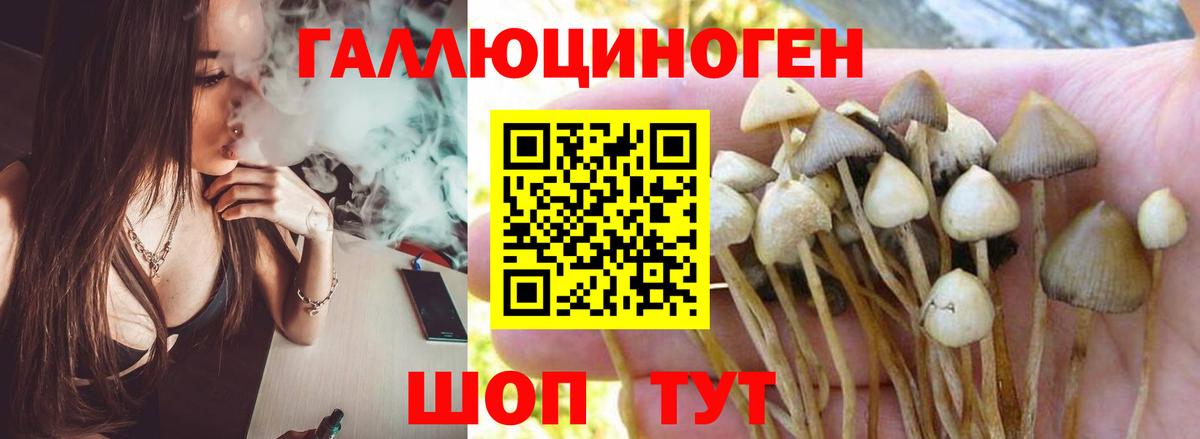 Галлюциногенные грибы ЛСД Керчь